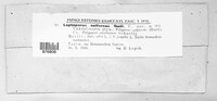 Image Associated With the Occurrence